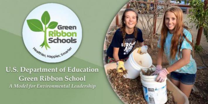 Green Ribbon Banner