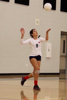 volleyball
