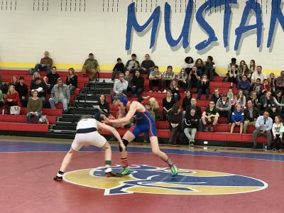 wrestling