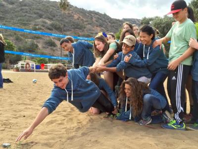 student teamwork